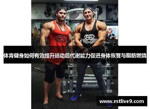 体育健身如何有效提升运动后代谢能力促进身体恢复与脂肪燃烧